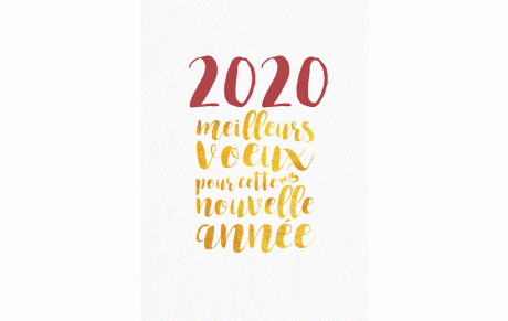 MEILLEURS VŒUX POUR CETTE ANNÉE 2020